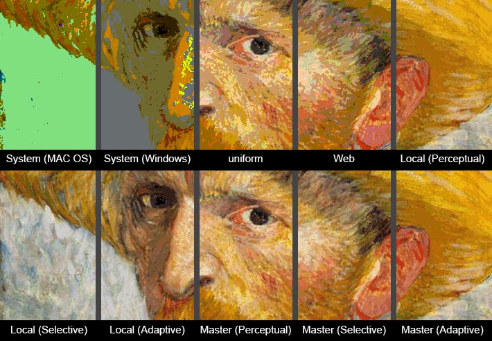 Step_3_Index_Colors_Options_Banner