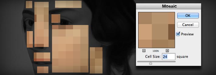 Step_5_Mosaic_Cell_Size_24_Banner